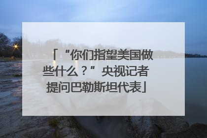 “你们指望美国做些什么？”央视记者提问巴勒斯坦代表